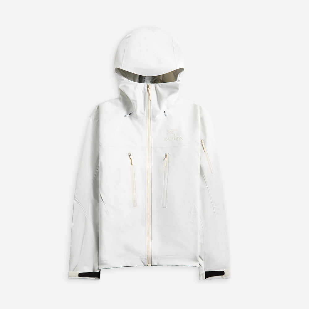 

Куртка Arc'teryx Alpha SV Jacket, цвет Whiteout