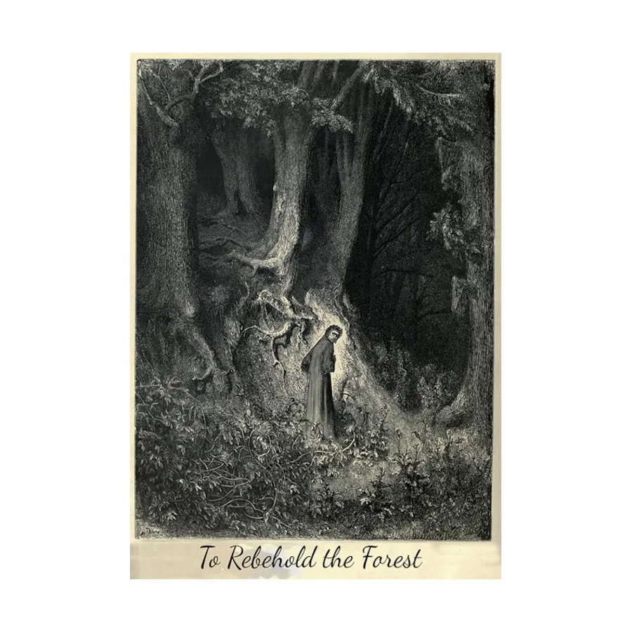 

To Rebehold the Forest, Role Playing Games (Stratagemma Edizioni), мягкая обложка