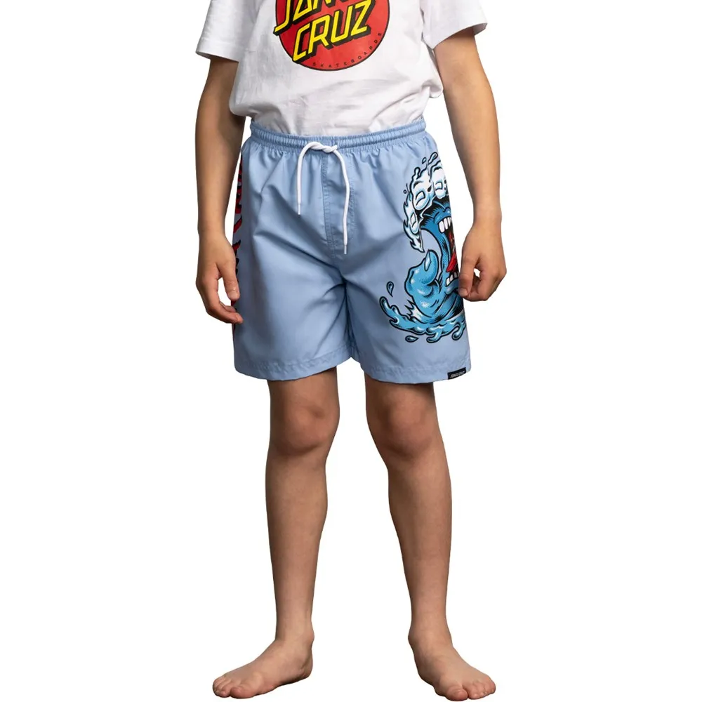 

Шорты для плавания Santa Cruz Screaming wave, синий