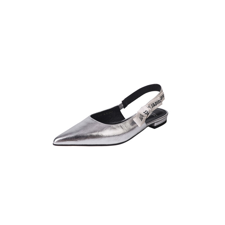

Туфли BalletCat Women's Casual Shoes Women's, серебряный