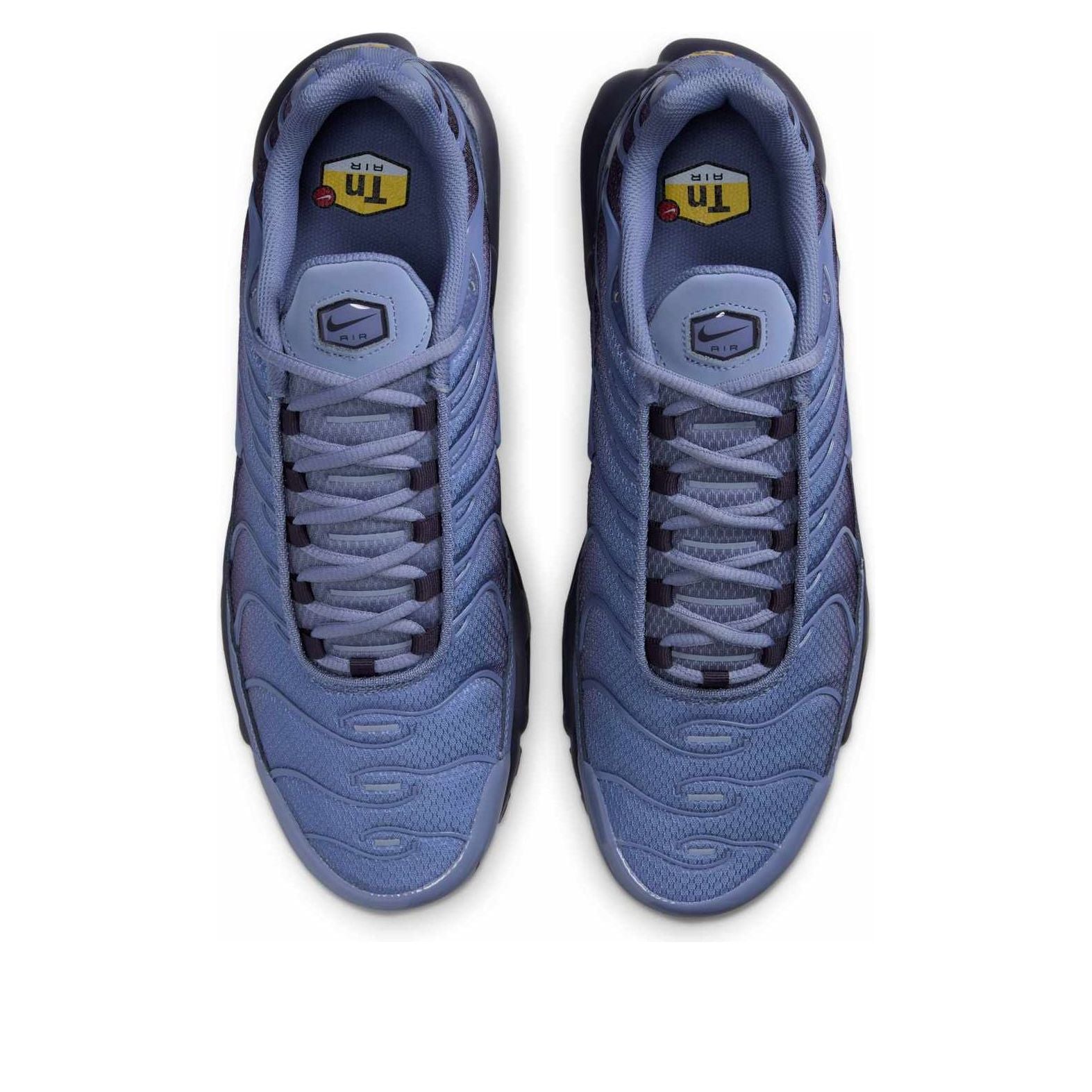 Кроссовки Nike Air Max Plus 'World Indigo' — фото 2