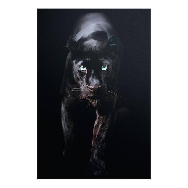 

Картина Reinders Schwarzer Panther, черный