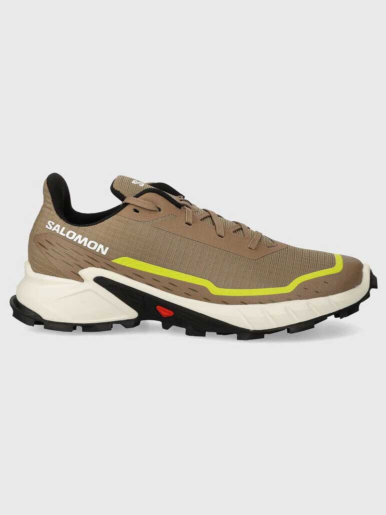 

Горные кроссовки Salomon ALPHACROSS 5, коричневый