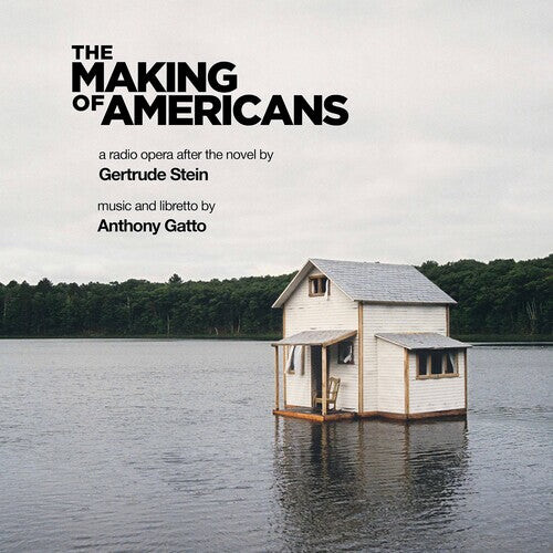 

CD диск Gatto: Making of Americans