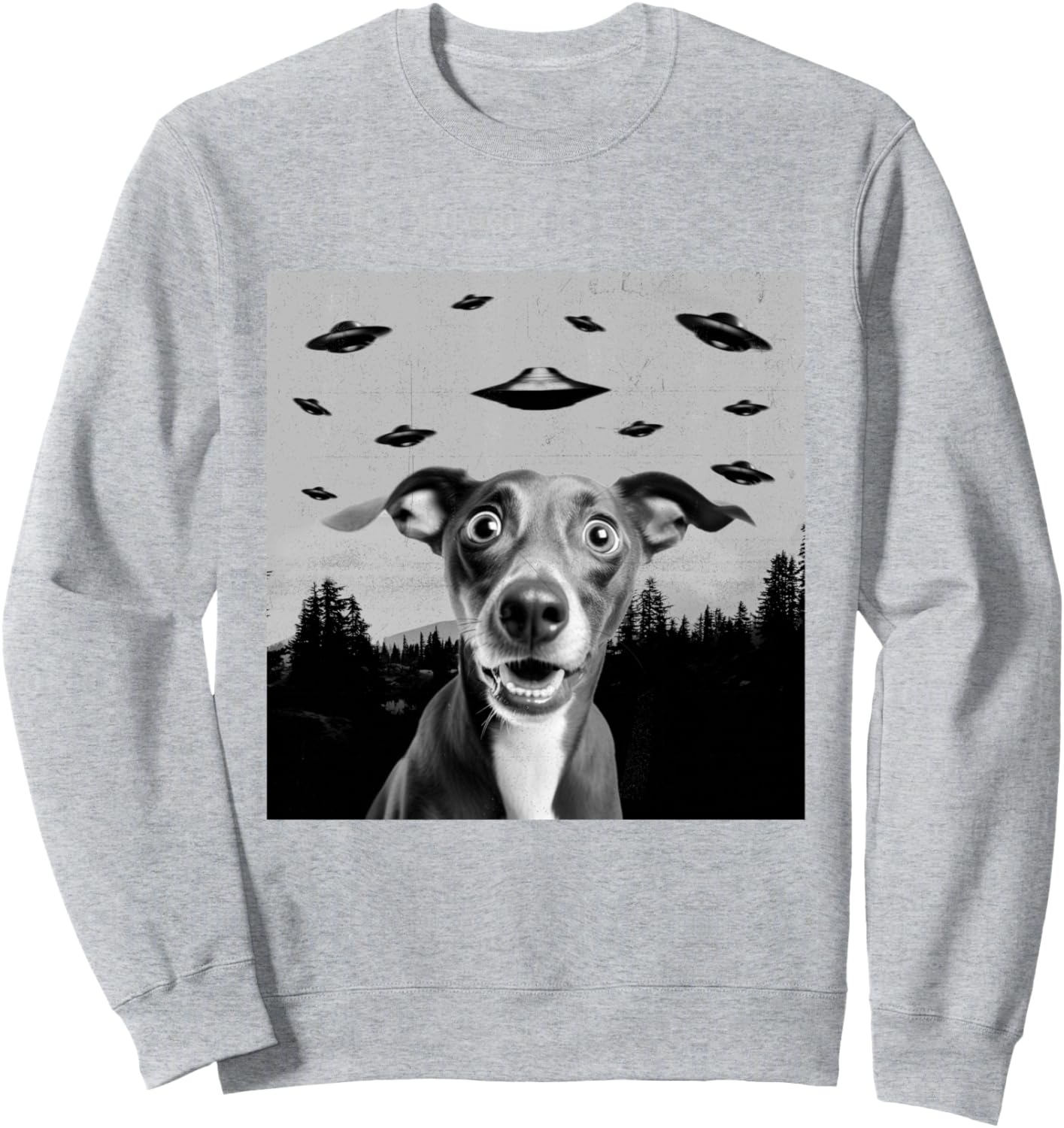 

Забавная толстовка с изображением инопланетной собаки НЛО и итальянской борзой для любителей собак (мужчин, женщин и детей) Italian Greyhound Collect, серый