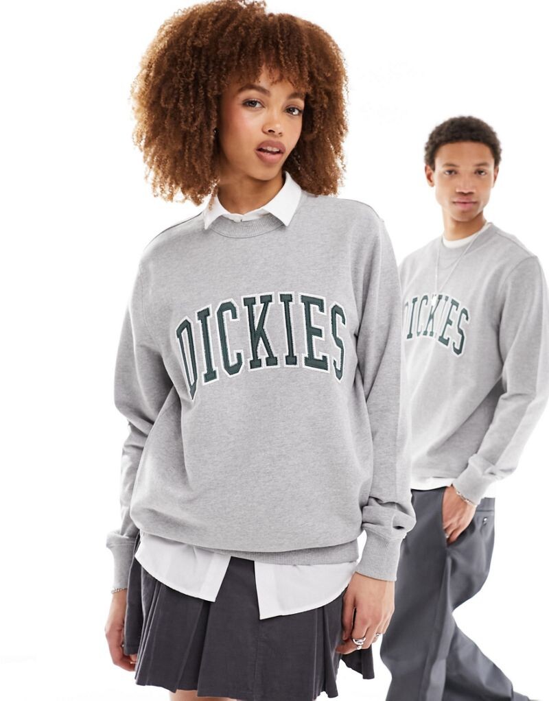 

Dickies – Aitken – Серая толстовка с большим логотипом