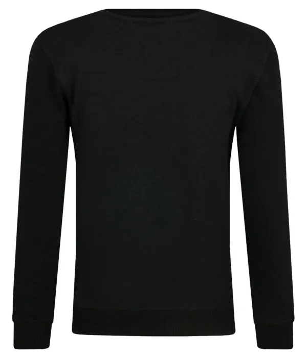 Толстовка Lamonty Crew Regular fit Pepe Jeans London, черный — фото 2