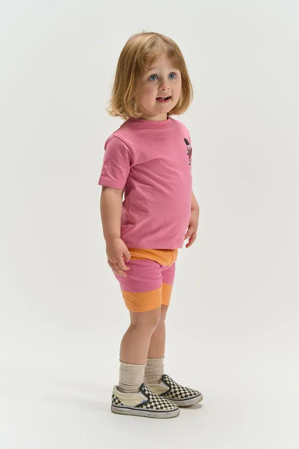 Футболка Tundra s s tee print t-shirt The New Siblings, кашемировая роза