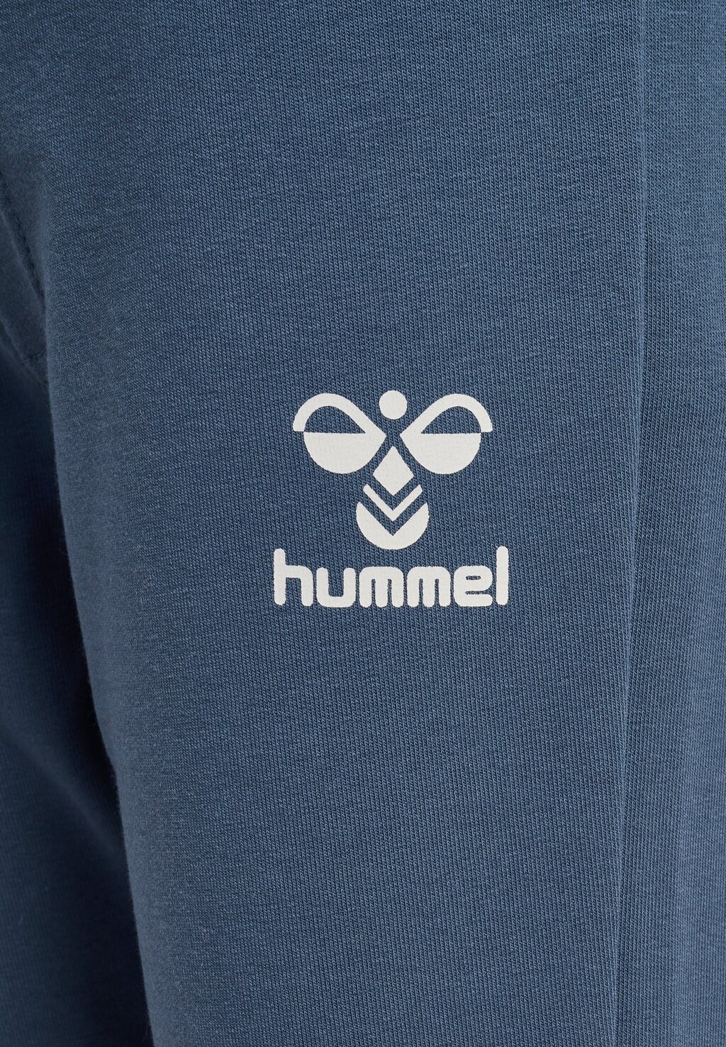 

Спортивные штаны ON Hummel, синий