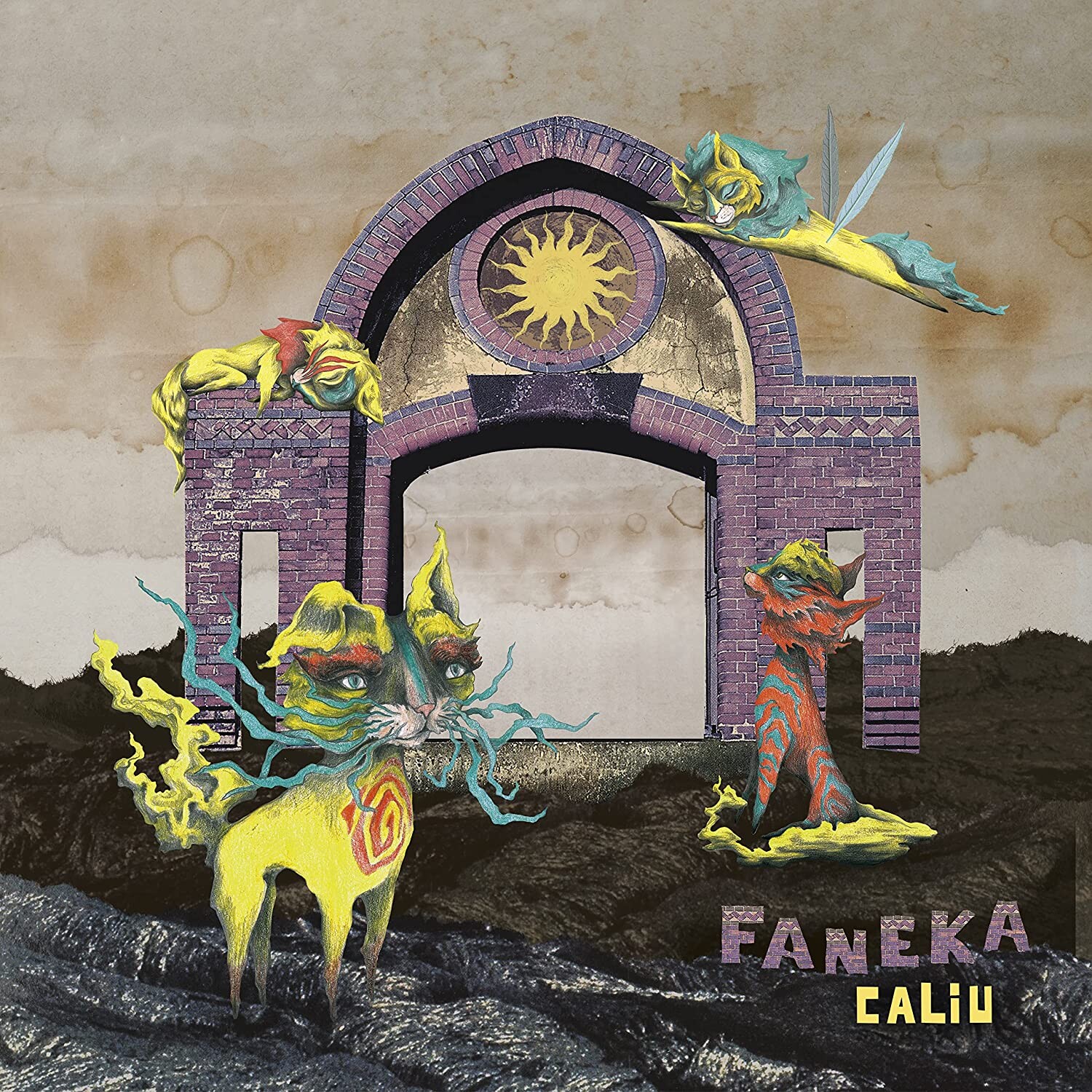 

Виниловая пластинка Faneka: Caliu - LP+CD