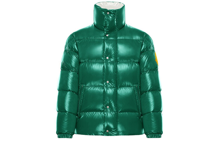 

Пуховик мужской зеленый Moncler