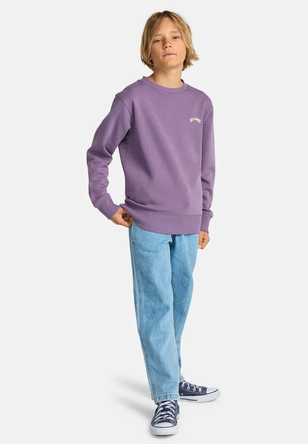Толстовка arch Billabong, Mulled Grape Solid