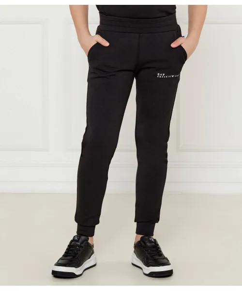 

Брюки Regular fit Ea7, черный