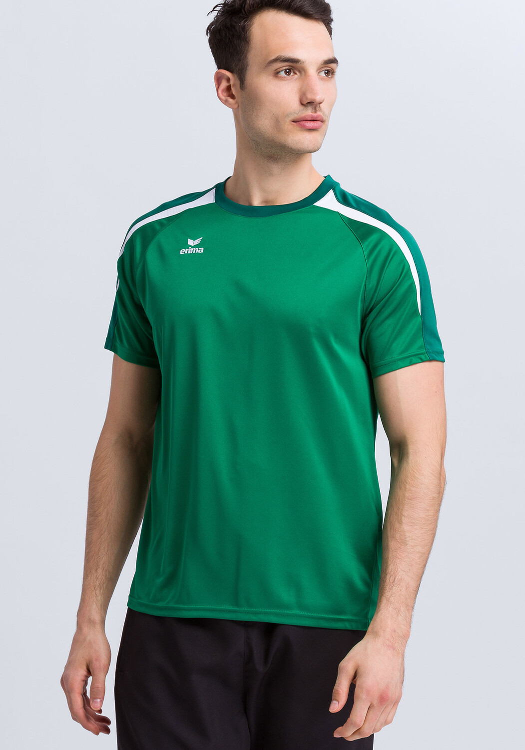 

Футболка erima Liga 2.0, цвет smaragd/vergreen/weiss