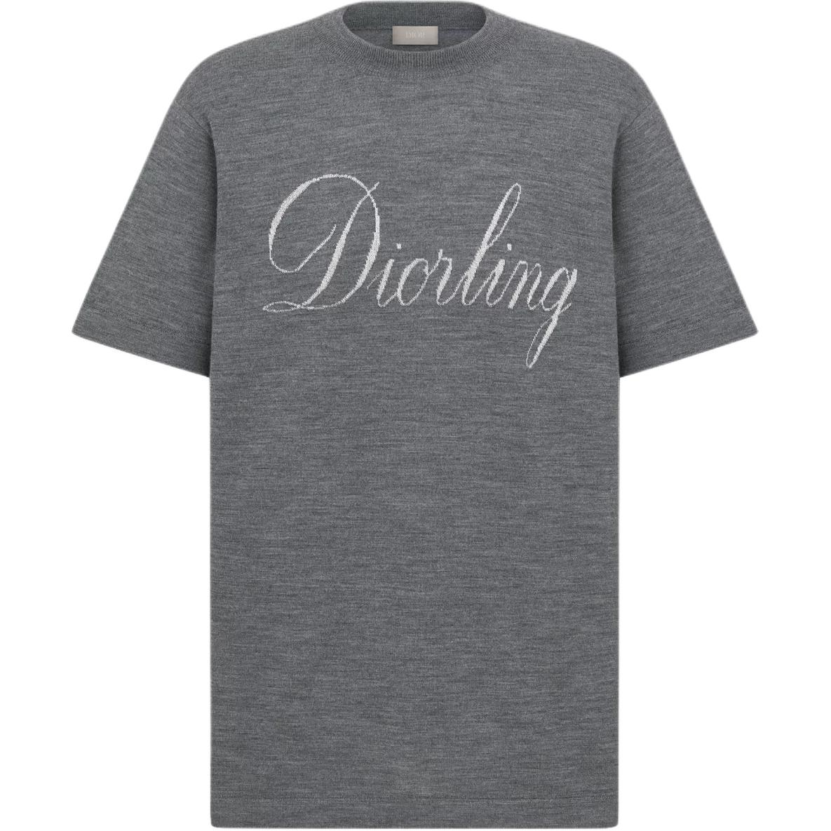 

Мужская футболка crewneck DIOR, серый