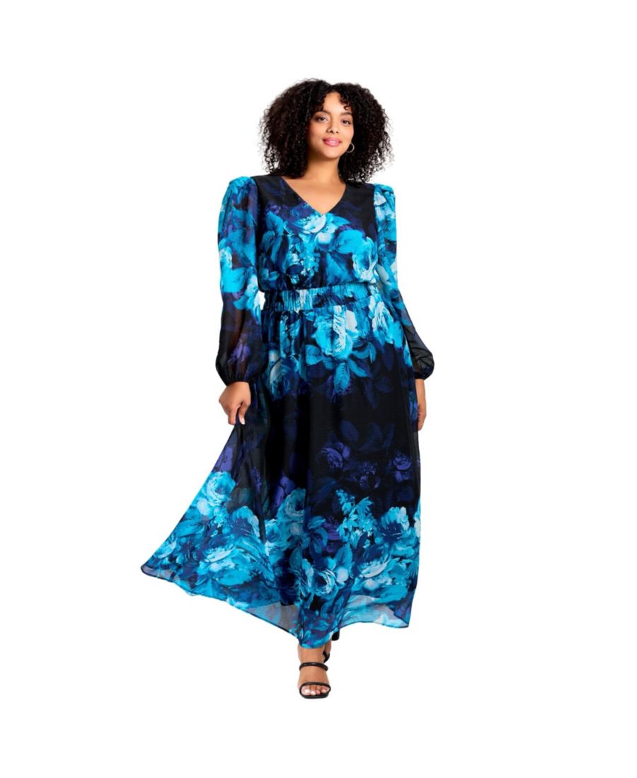 

Женское макси-платье Neve больших размеров AVENUE, Aqua rose border