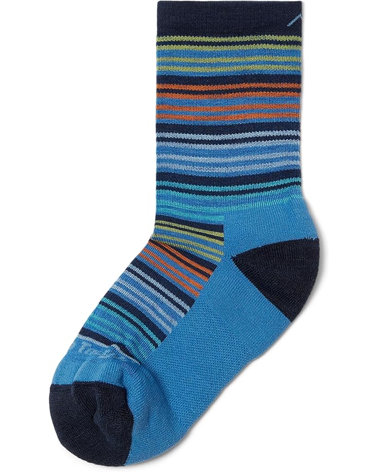 

Носки Darn Tough Vermont Zebra Canyon Micro Crew Lightweight with Cushion, цвет Stellar