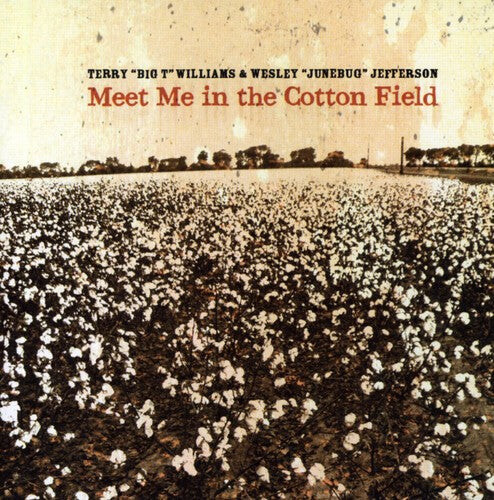 

CD диск Willams, Terry / Jefferson, Wesley: Meet Me in the Cotton Field