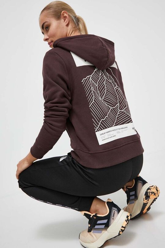 

Хлопковая толстовка The North Face, коричневый