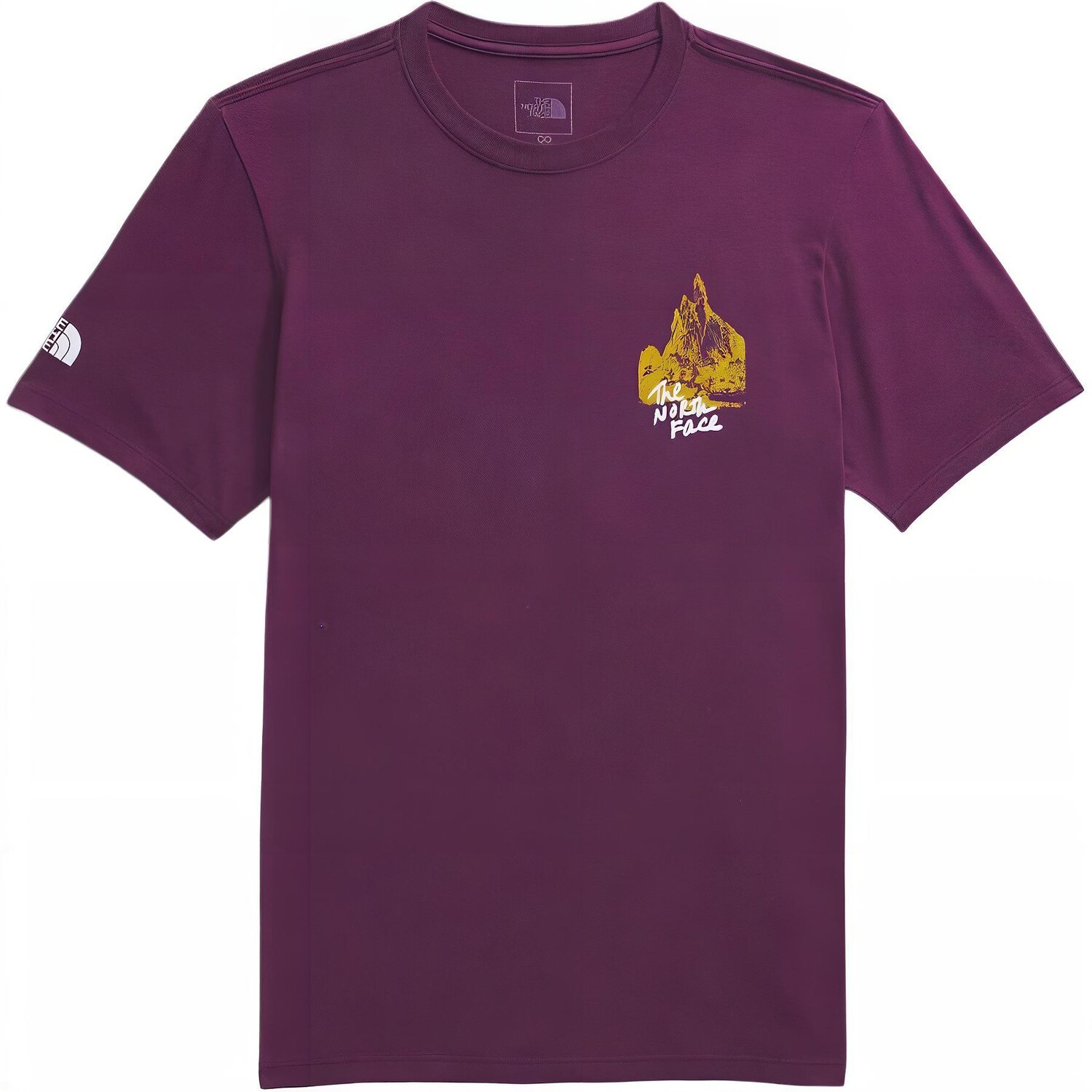 

Футболка мужская черная смородина фиолетовая The North Face, черный