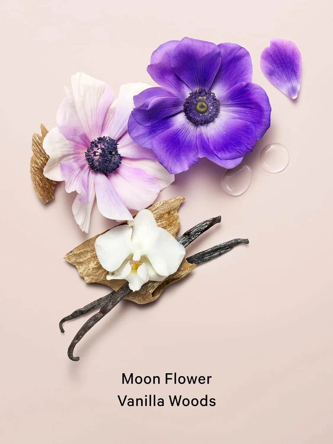 Лосьон для тела Midnight Bloom Victoria's Secret 236 мл — фото 2