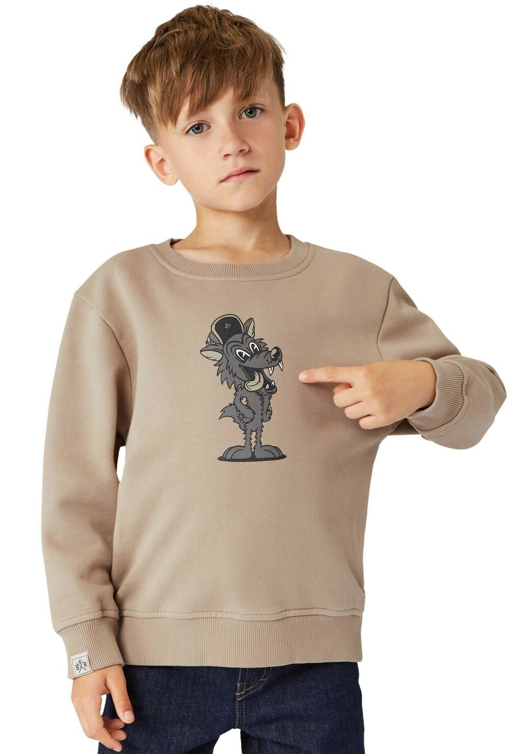 

Толстовка WOLF Band of Rascals, цвет Clay