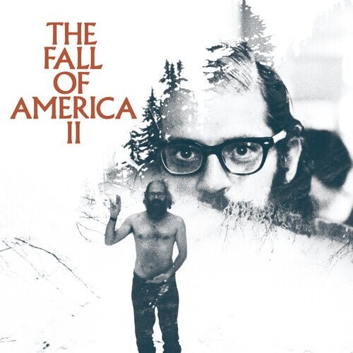 

Виниловая пластинка Allen Ginsberg'S The Fall Of America Vol. 2 / Var