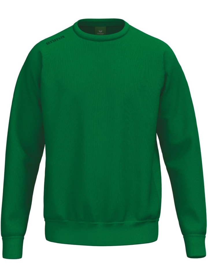 

Толстовка Ts Sweatshirt erima, зеленый
