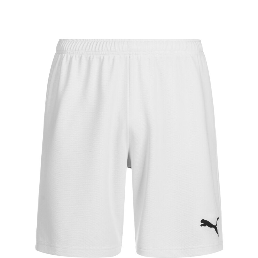 

Брюки PUMA Regular Workout Pants TeamRise, белый