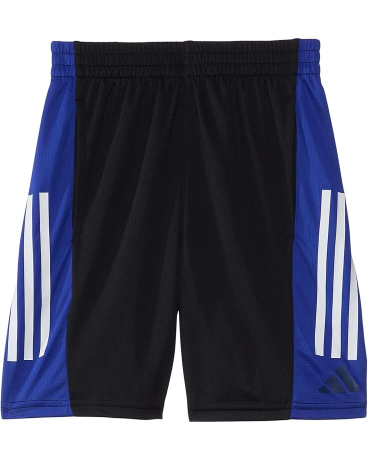 

Шорты adidas Kids Colorblck Short(Big Kid), цвет Black/Blue