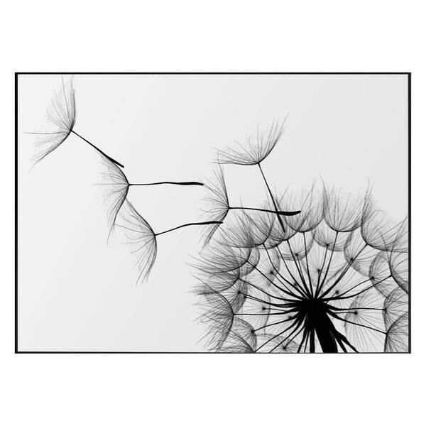

Картина Reinders Pusteblume, черный