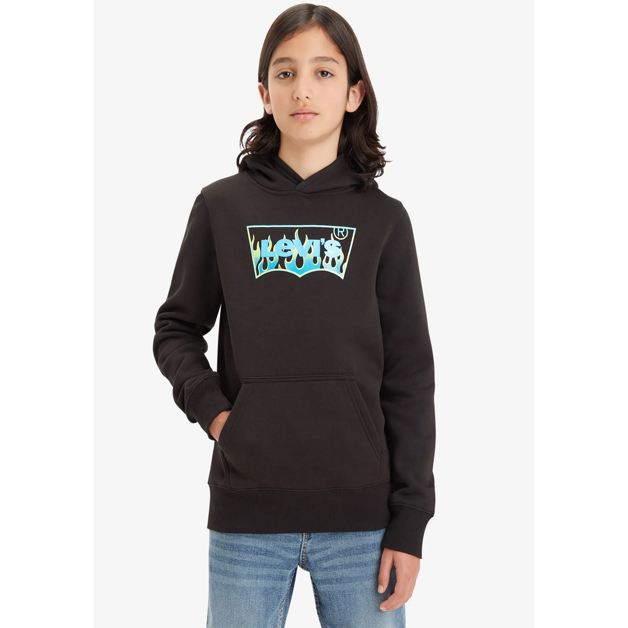 

Детская худи Levi's «LVB BATWING FILL HOODIE», для МАЛЬЧИКОВ Levi'S Kids, цвет meteorite
