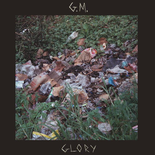 

Виниловая пластинка Good Morning: Glory (Brown)