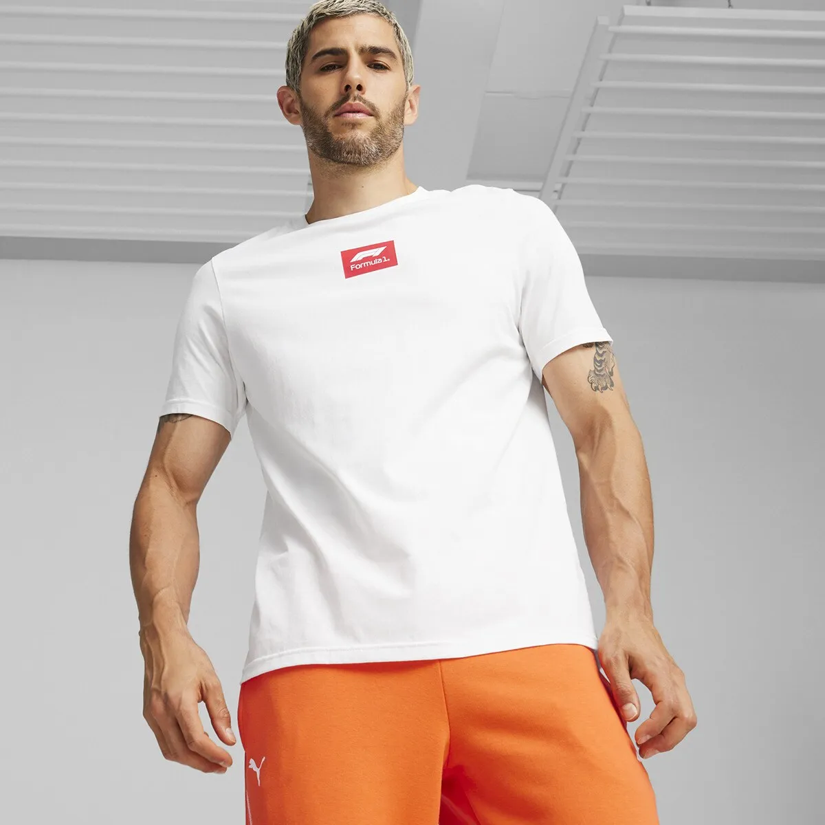 

Мужская футболка с логотипом F1 ESS + футболка Puma, белый