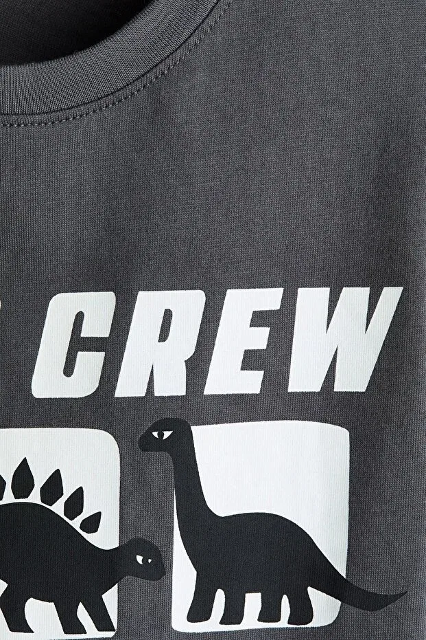 Детская футболка с принтом H&M, Gray/Dino Crew — фото 2