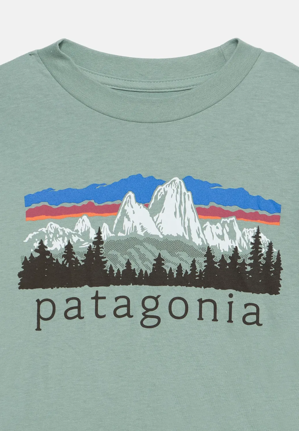 Футболка унисекс с длинными рукавами и графическим принтом Patagonia, Cover Green — фото 4