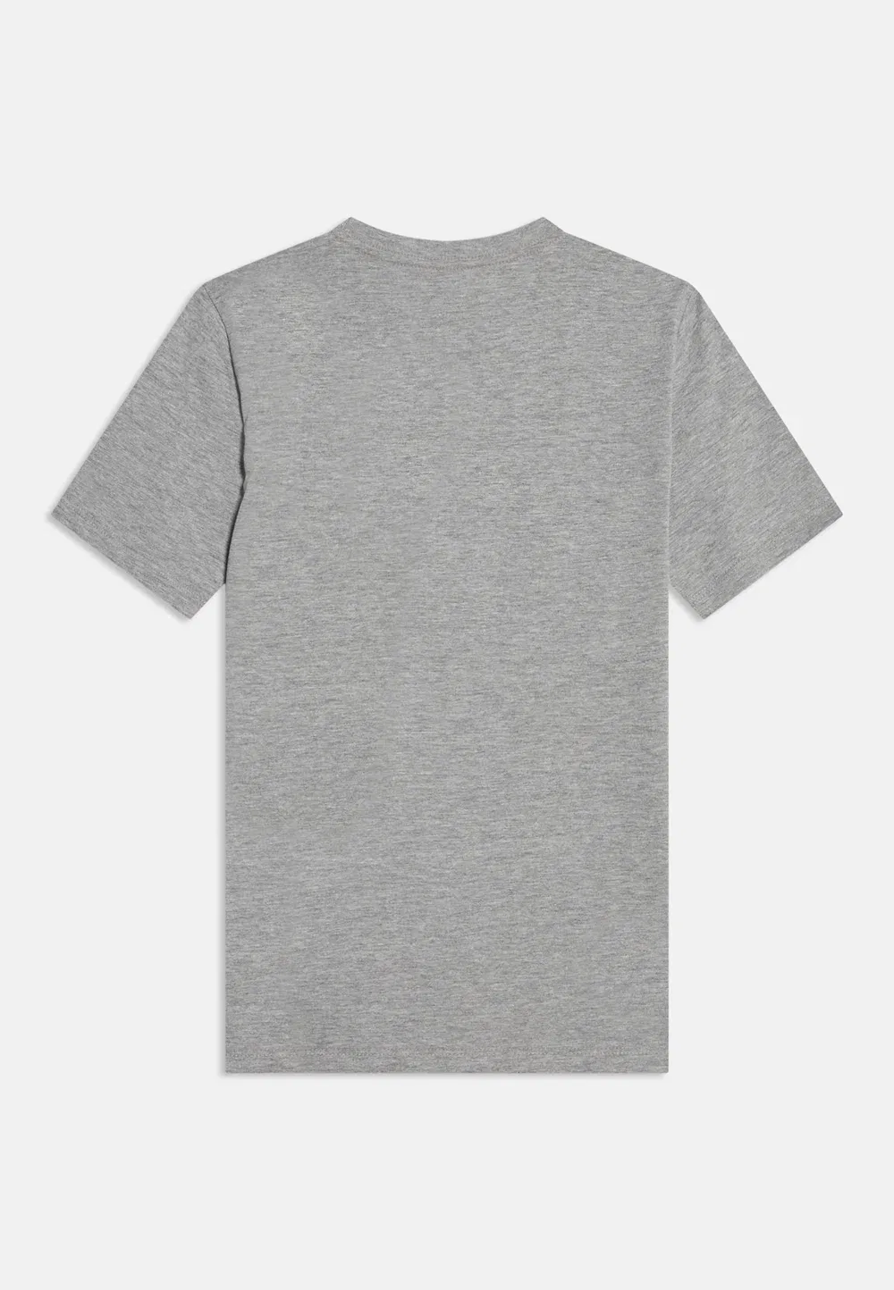 Футболка Teen Evolution Simple Dome Tee унисекс - базовая футболка The North Face, Pale Grey Heather — фото 2