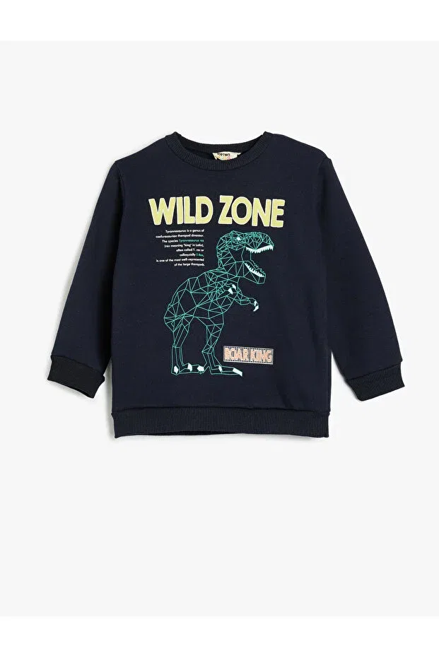 Детские свитшот для мальчиков с принтом Dinosaur sweatshirt crew neck long sleeve raised Koton, Navy Blue