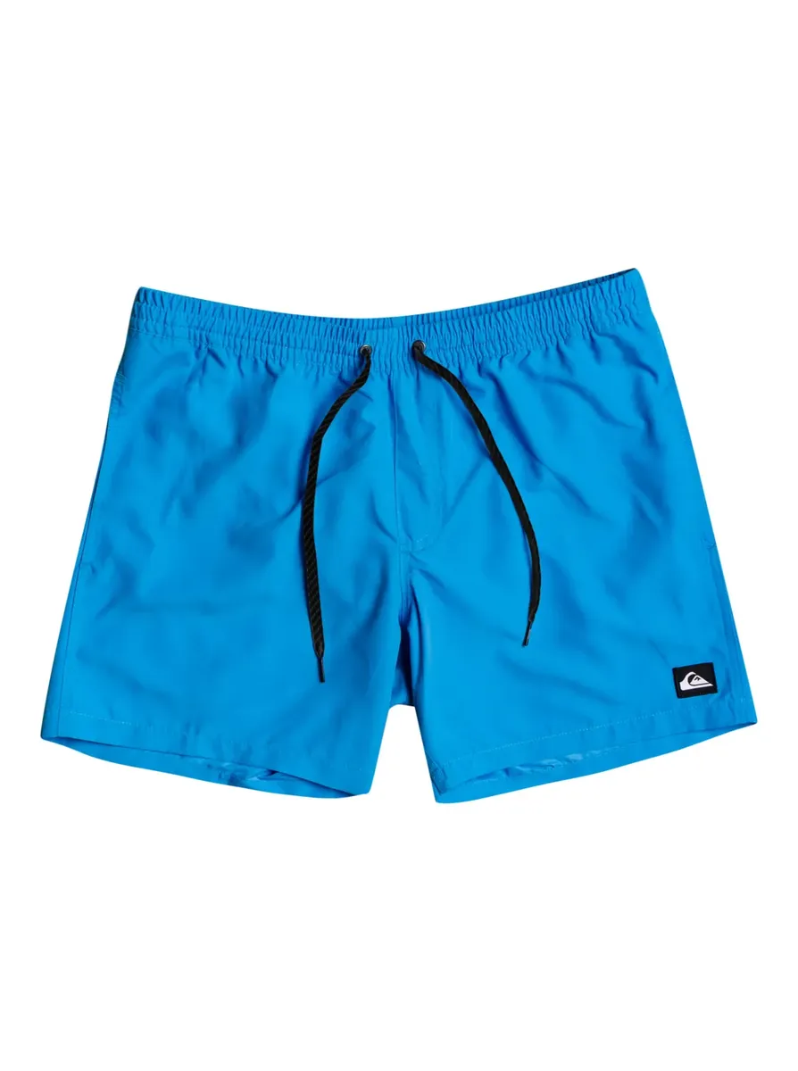 

Купальные шорты Quiksilver "Everyday 13"", цвет Blithe