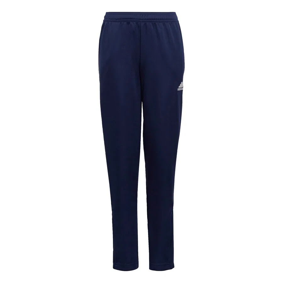 Спортивные брюки ADIDAS PERFORMANCE Regular Workout Pants 'Entrada 22' синего цвета