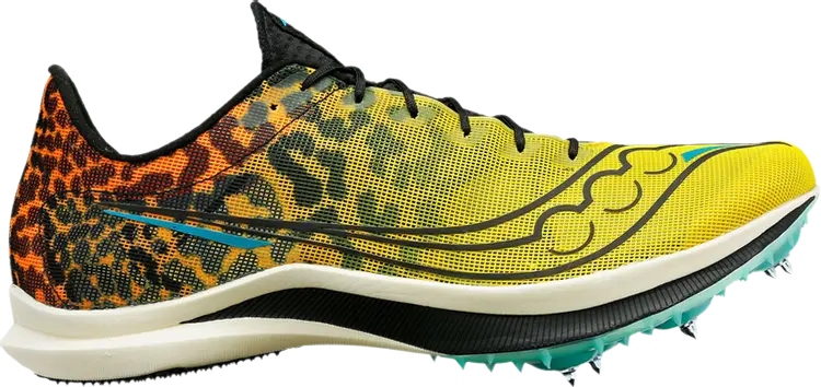 Кроссовки Saucony Wmns Endorphin Cheetah, черный