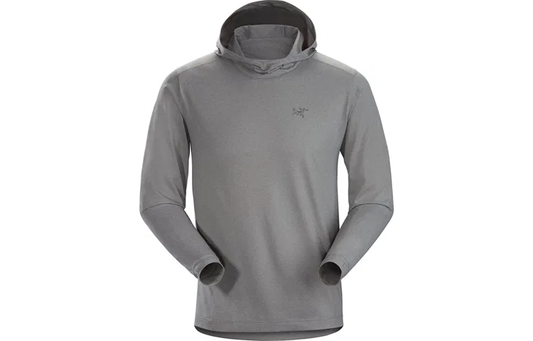 Мужской свитшот с капюшоном Arcteryx REMIGE, Cryptochrome/Gray