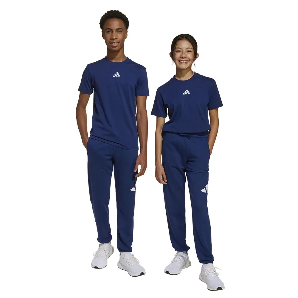 Брюки с логотипом Adidas Essentials Big Logo, синий