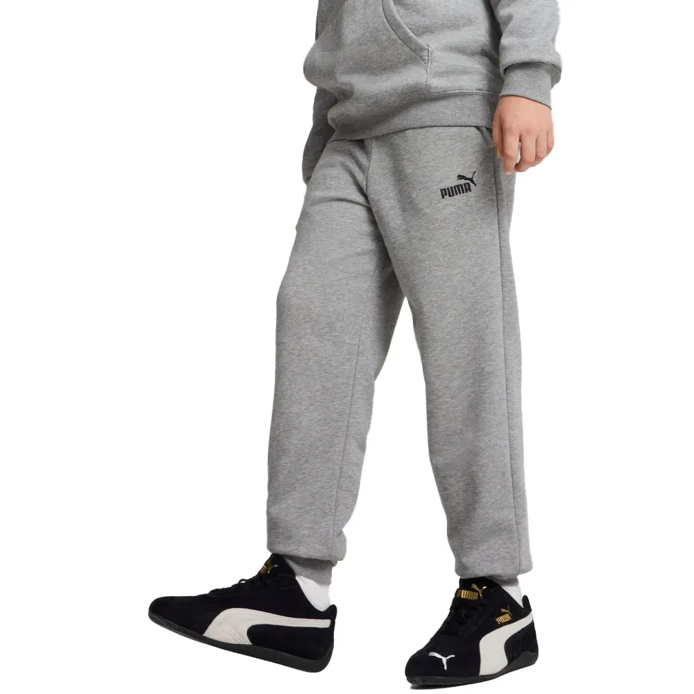 Брюки спортивные Ess Nº1 Logo Puma, серый