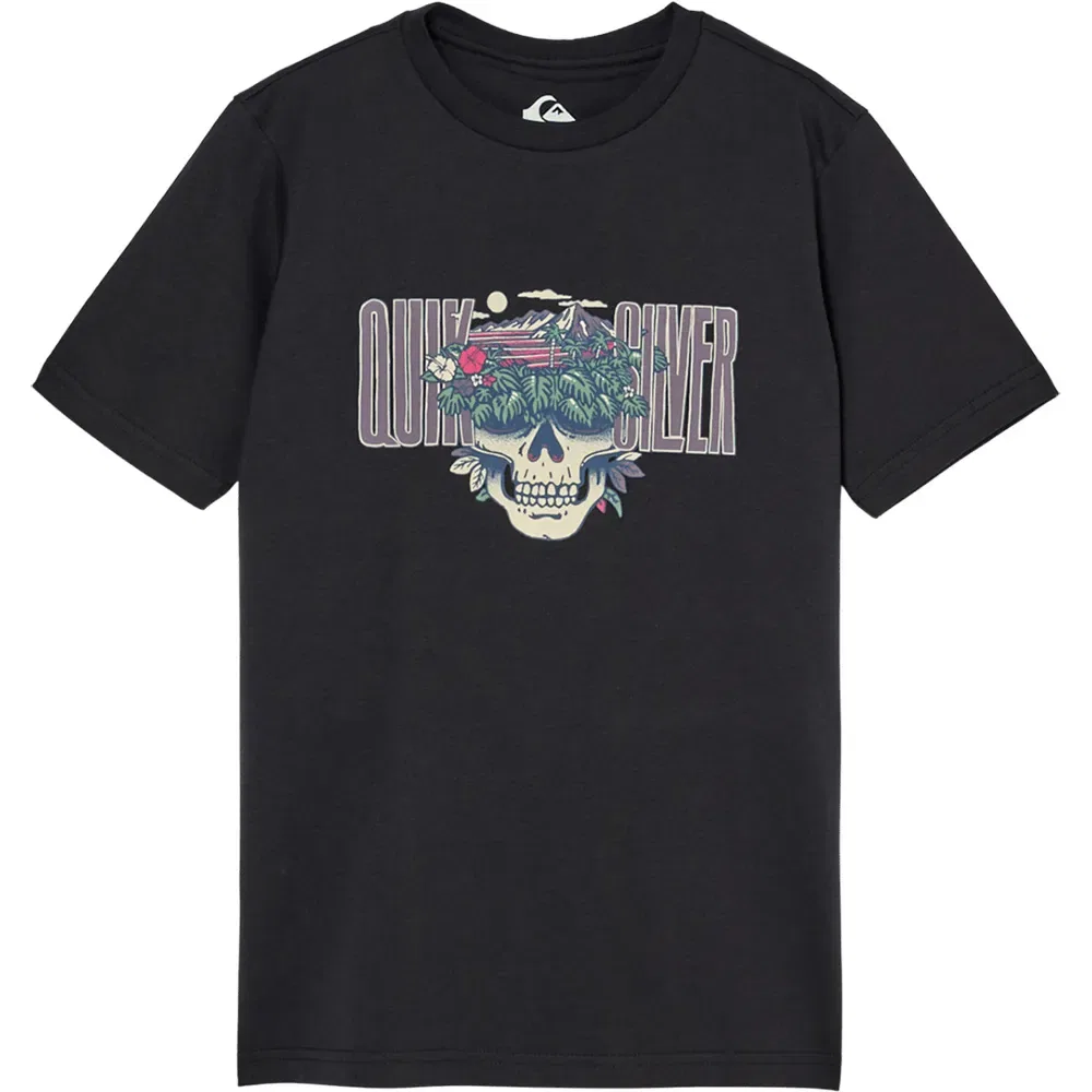 Детская футболка с коротким рукавом Paradise Point Quiksilver, Black