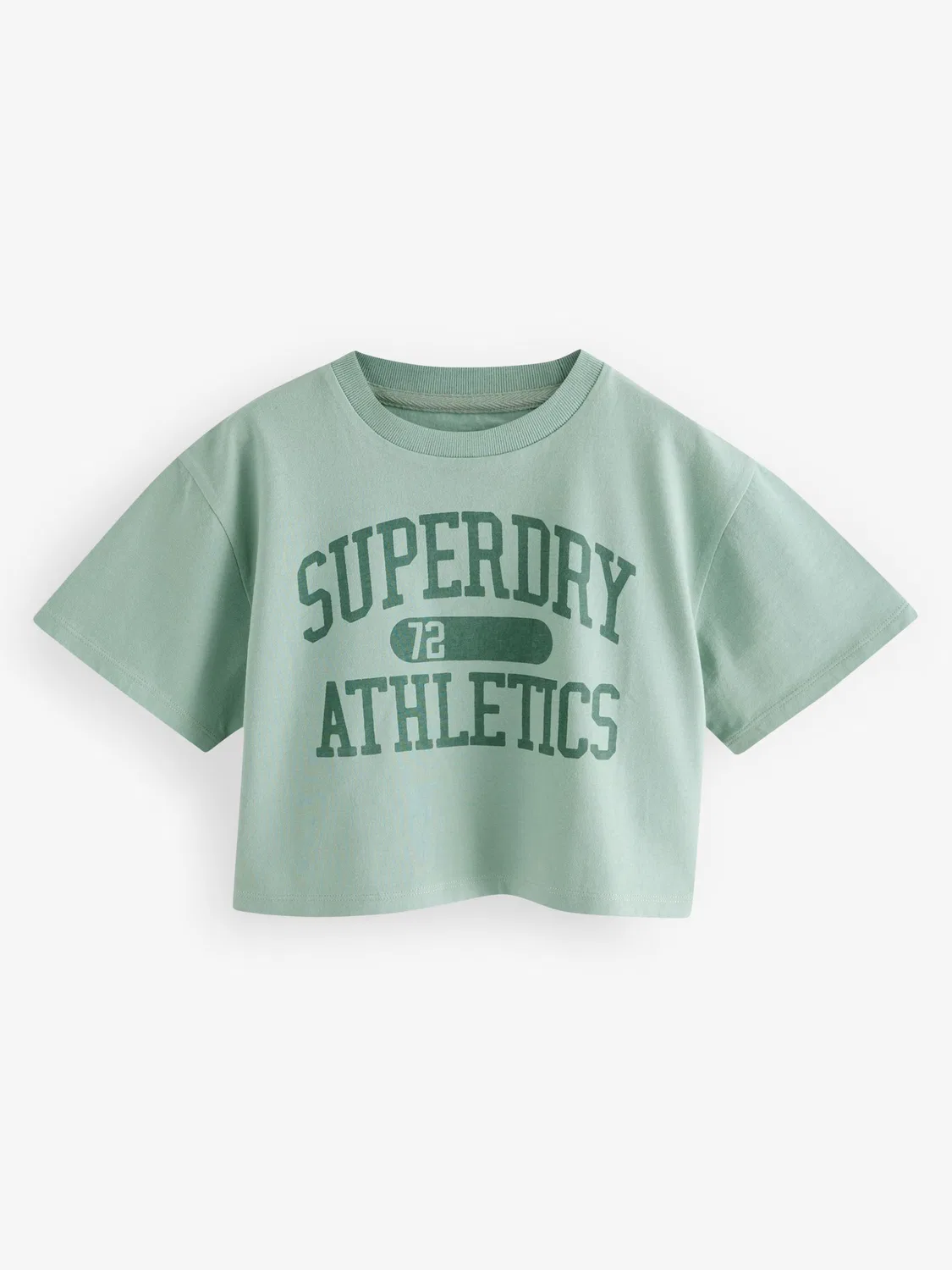 Футболка 'Essentials' Superdry & Co, Green/Dark Green/Rose — фото 4
