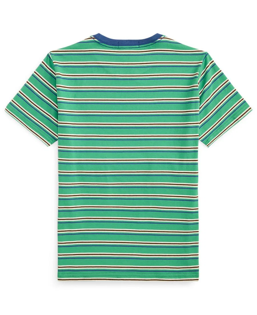 Детская футболка с коротким рукавом Polo Ralph Lauren, Raft Green Multi — фото 2