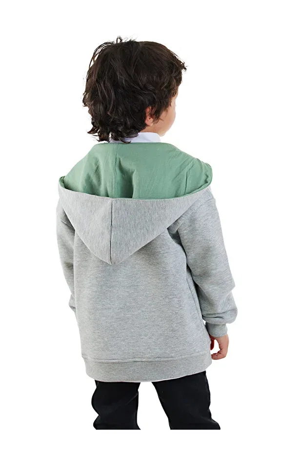 Детские свитшот для мальчиков с принтом Dinosaur Denokids, Gray — фото 3