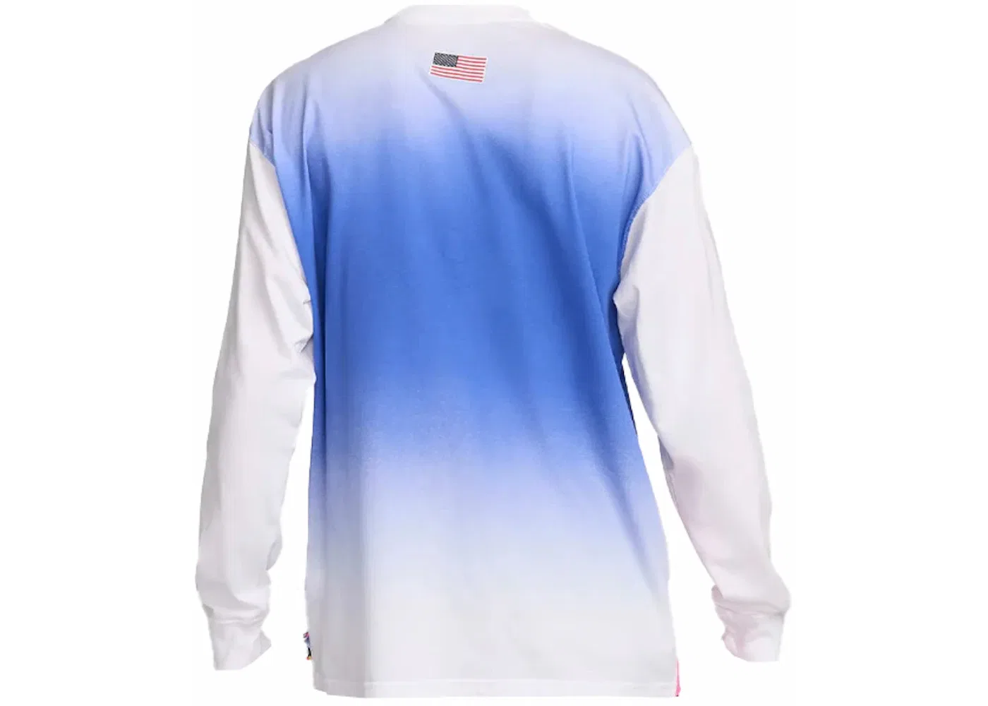 Мужская футболка с длинным рукавом Nike SB Team USA Olympics L/S Federation Skate Tee, White/White — фото 2