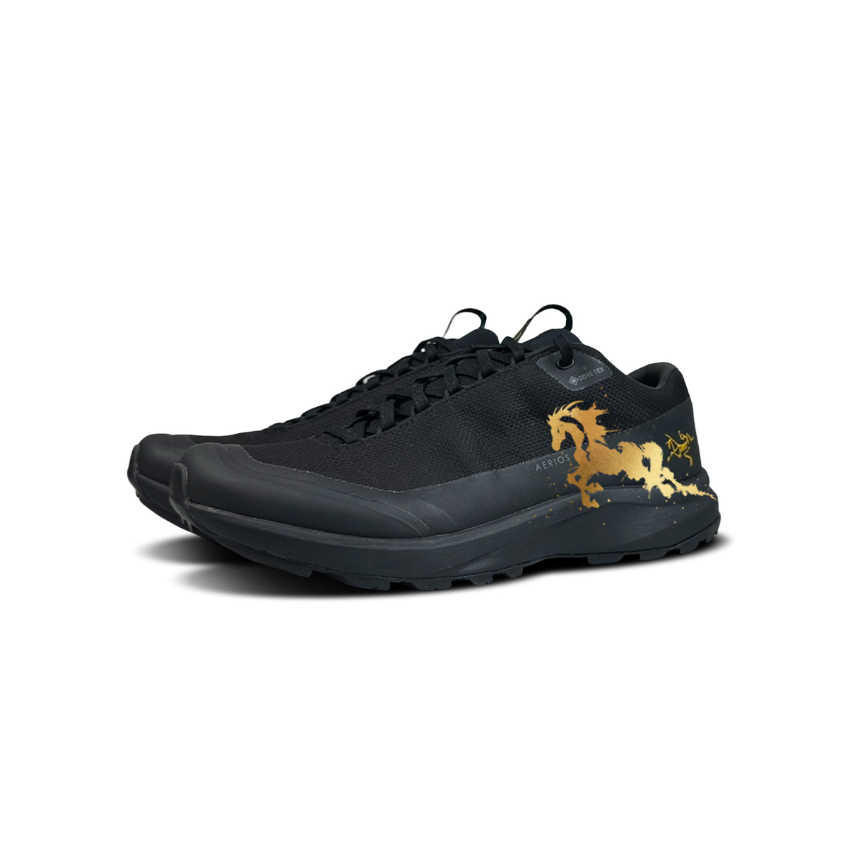 Aerios FL устойчивые к истиранию низкие кроссовки для активного отдыха Unisex золотой Arcteryx, черный — фото 4